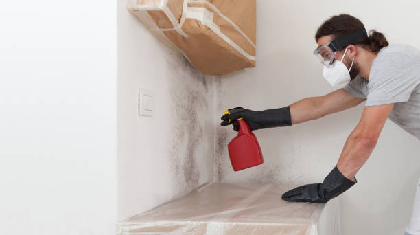 Professional Mold Removal technician working in Welcome, MD